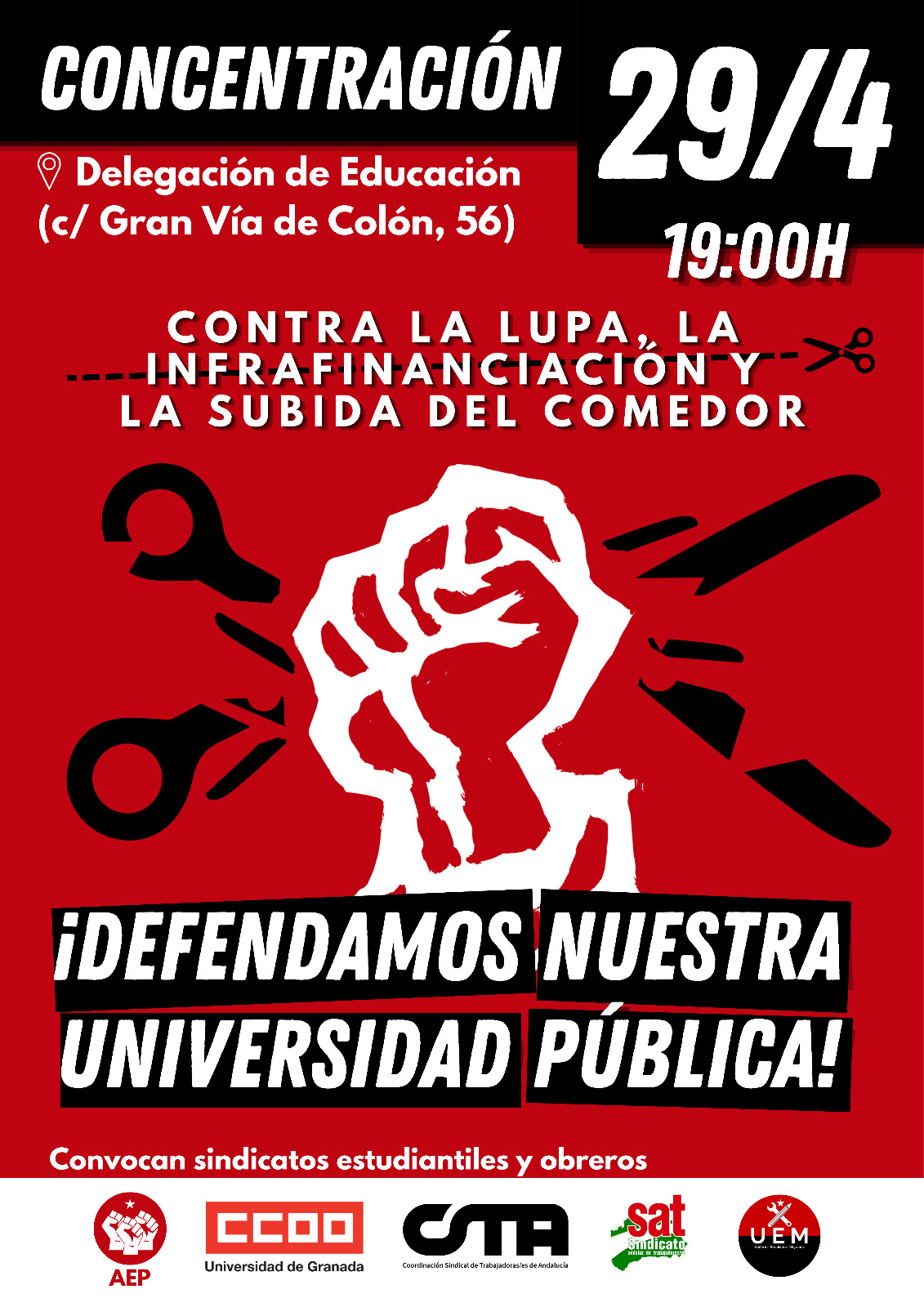 Cartel manifestación 29A - Universidad de Granada